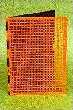 Imagen del término pauta para braille