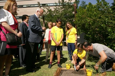 Plantada en la Asamblea de Madrid