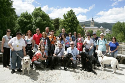 Grupo de usuarios de perros guía en Rascafría (Madrid)