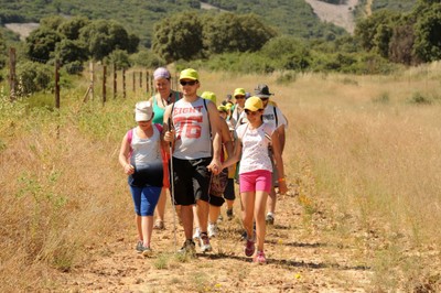 Haciendo senderismo, una de las actividades de campamento más comunes