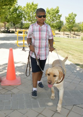  Juan Lucas prueba a ser futuro usuario de perro guía