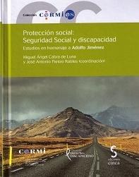 Portada de "Proteccion social, seguridad social y discapacidad"