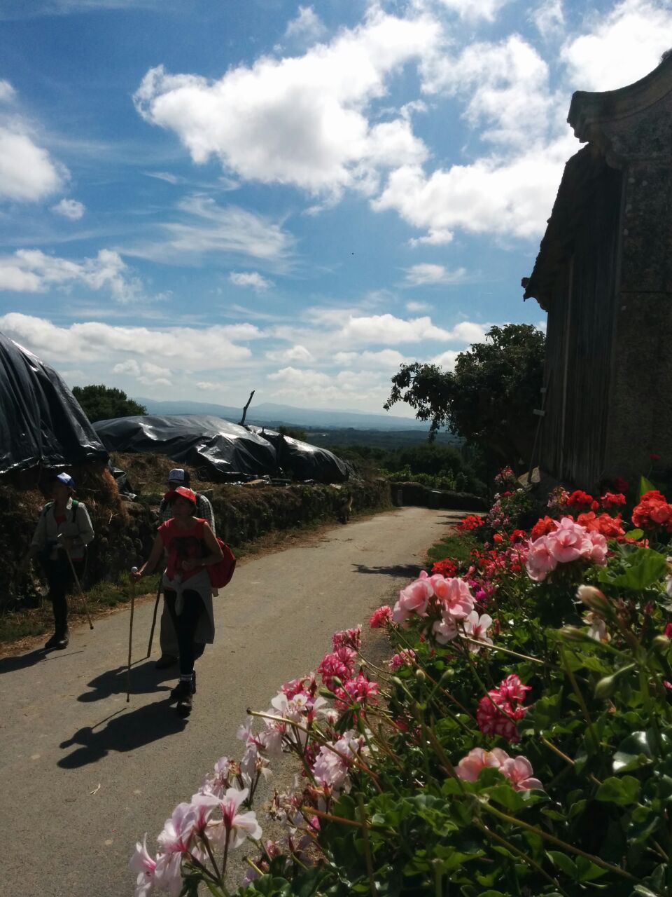 Llaneando, camino a Arzúa