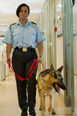 María Jesús recorre las instalaciones de su trabajo con el futuro perro guía que está educando