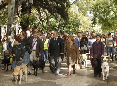 Usuarios de perros guía realizan un paseo por Madrid