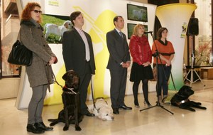Presentación de la expo en Oviedo