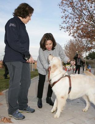 Sáenz de Santamaría acaricia al perro con el que va a realizar el recorrido de obstáculos a ciegas