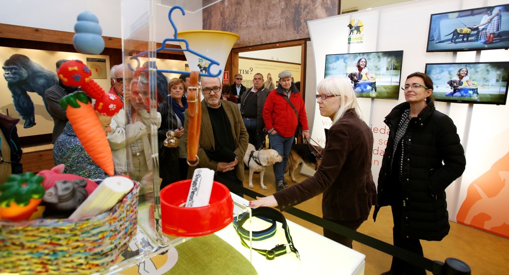Un grupo de visitantes recorre la expo '25 años caminando juntos'
