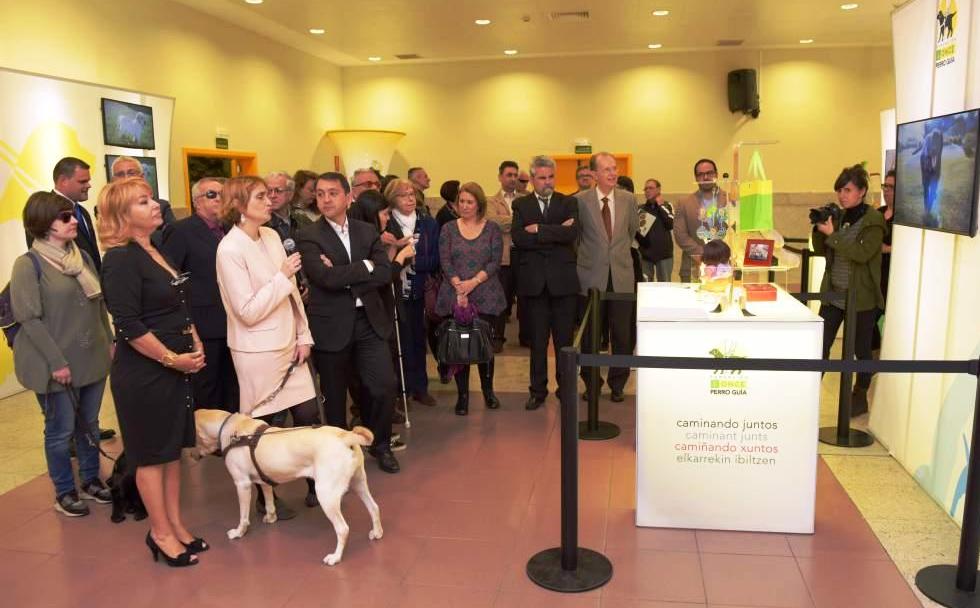 Autoridades, representantes de la ONCE y usuarios de perros guía en la inauguración de la exposición en Tenerife