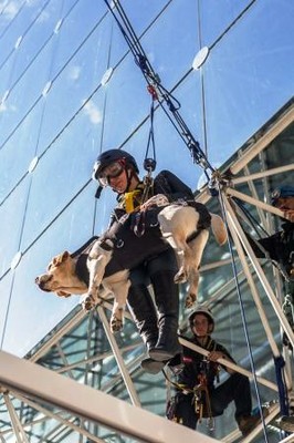 Espectacular toma desde el suelo del descenso por la tirolona de la afiliada con su perro guía