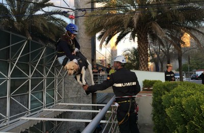 Un agente ayuda a descender en el último tramo a la afiliada y su perro guía