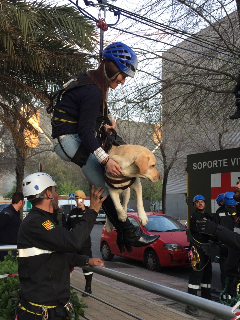 Un último empujón permite a afiliada y perro acercarse tras el descenso a nivel de calle