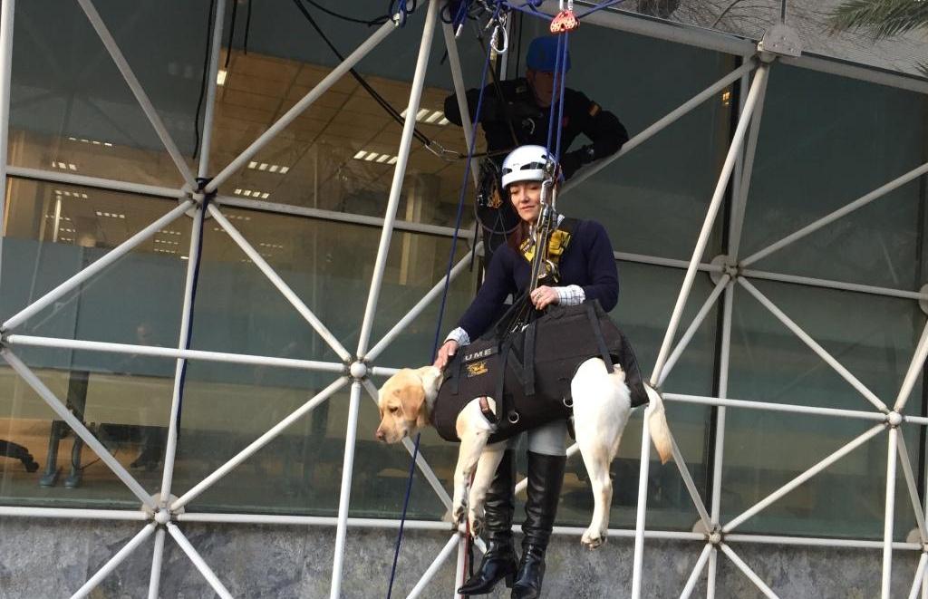 Una afiliada es evacuada por la fachada de un edificio, junto a su perro guía, mediante una tirolina 