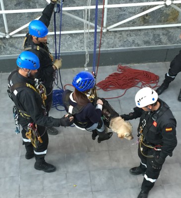 Una afiliada es recogida en la acera de la calle, junto a su perro guía, tras ser evacuada por la fachada de un edificio