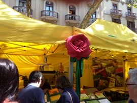 Una rosa en el santd de la ONCE el día de Sant Jordi