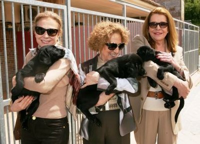 De izquierda a derecha, Alicia Koplowitz, Mª del Carmen Iglesias y Mari Luz Barreiros, en la FOPG, con sendos cachorros de perros guía en sus brazos