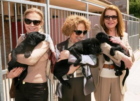 De izquierda a derecha, Alicia Koplowitz, Mª del Carmen Iglesias y Mari Luz Barreiros, en la FOPG, con sendos cachorros de perros guía en sus brazos