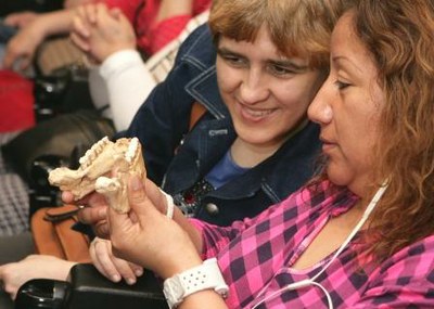 Réplica de una mandíbula del Yacimiento de Atapuerca