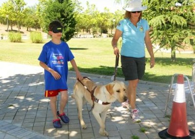 Uno de los niños practica a ciegas, conducido por un perro guía en la demostración realizada en la Escuela