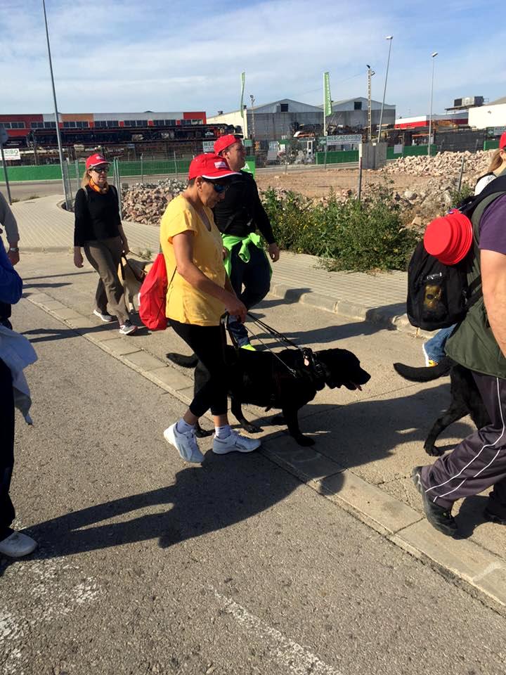 Afiliados y sus perros preparados para salir