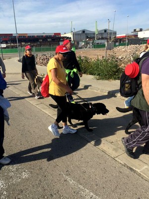Afiliados y sus perros preparados para salir