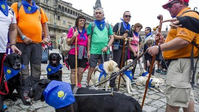 El grupo en la Plaza del Obradoiro (imagen de elperiodico.es)