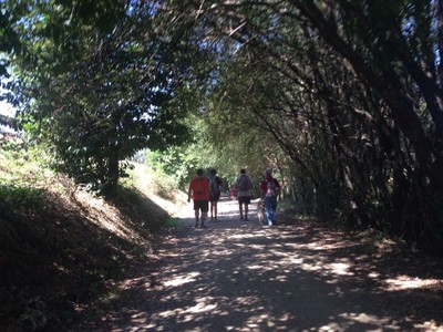 La arboleda refugiaba a los peregrinos
