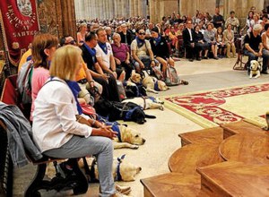 Peregrinos y sus perros en el interior de la Catedral de Santiago (imagen de El Correo Gallego)