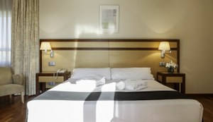 Habitación Hotel ILUNION Pío XII 