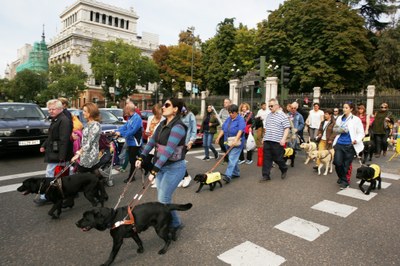 Usuarios y sus perros participando en el recorrido por Madrid hasta el Parque de El Retiro