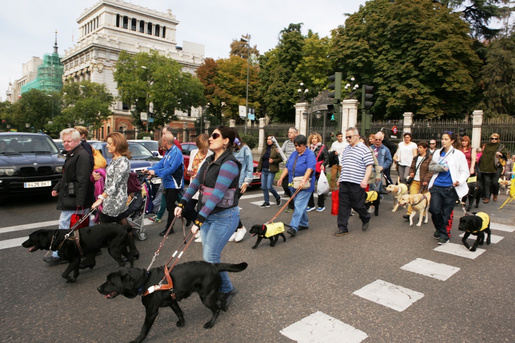 Usuarios y sus perros participando en el recorrido por Madrid hasta el Parque de El Retiro
