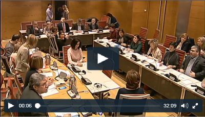 Captura de la imagen del vídeo de la reunión tomada de la web del Senado