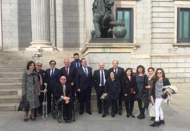 Representantes de la ONCE, su Fundación y el CERMI frente al Congreso de los Diputados