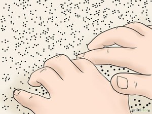 TEPROPBraille.jpg