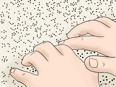 TEPROPBraille.jpg