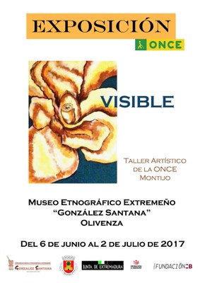 Cartel de "Visible"