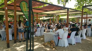 Una imagen de la comida de confraternidad en el Parque de la Glorieta de Ontinyent
