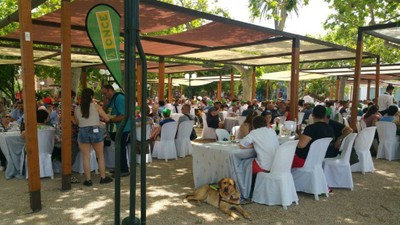 Una imagen de la comida de confraternidad en el Parque de la Glorieta de Ontinyent