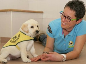 Cachorro de perro guía