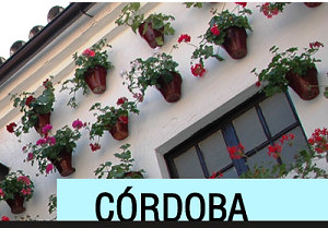 Imagen de un grupo de tiestos colgados en la pared de un patio cordobés