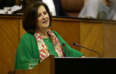 La consejera Sánchez Rubio durante su intervención ante el Pleno del Parlamento defendiendo la nueva Ley