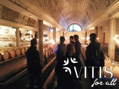Visita a una bodega del proyecto Vitis for all