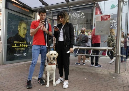 Joven ciego con perro quía utilizando la app desde una marquesina de autobús en Málaga