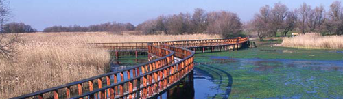 Parque Nacional de las Tablas de Daimiel