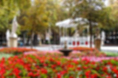 Jardín