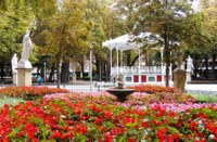 Jardín visto con nitidez