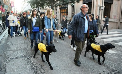 Perros de la Escuela de la ONCE recorren, junto a sus adiestradores, las 'Vueltas de San Antón' en Madrid
