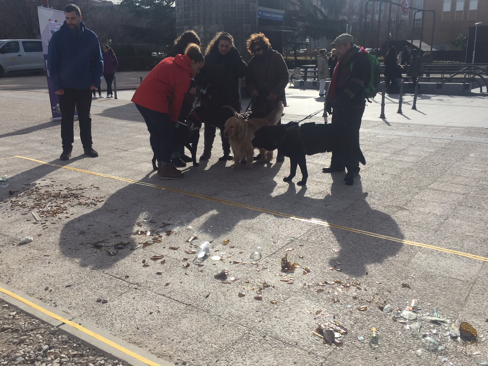 Usuarios de perros guía junto a una de las zonas con restos de cristales