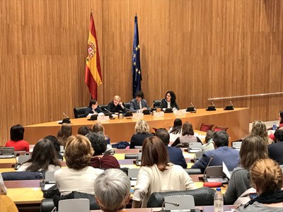Imagen de la primera jornada celebrada el pasado año en el Congreso