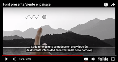 Composición gráfica de la transformación de la imagen en una escala de grises y de ésta en intensidades de vibración